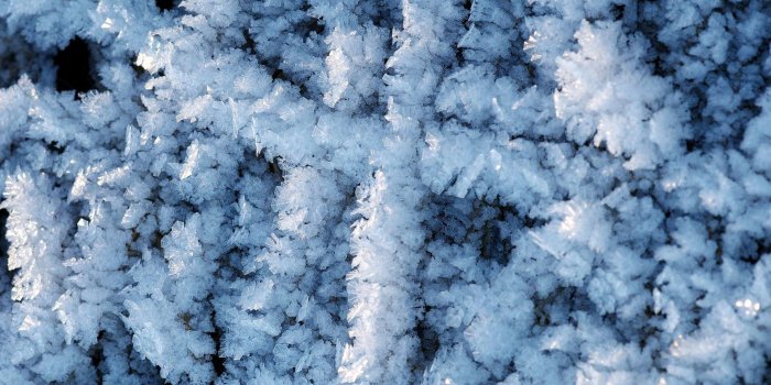 1920x1080 Frosty Tag wallpapers: Blurry Abstract Winter Branches Photography