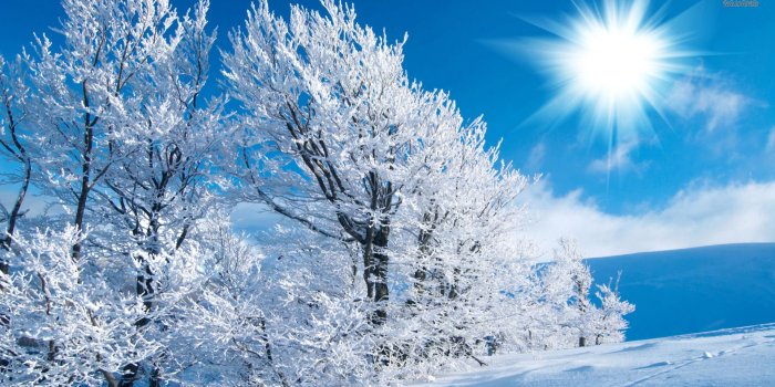 1920x1080 Winter Wallpapers | Best Wallpapers