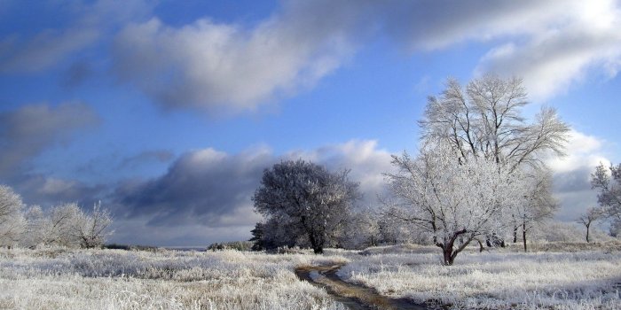 1920x1200 Nature, Download, Abstract HD Wallpaper,winter, Mac