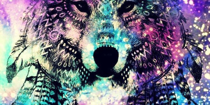 750x1334 Galaxy Dog Wallpapers