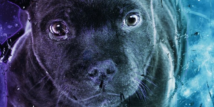 1440x2160 Download 1440x2960 wallpaper black puppy, dog, cute, digital art