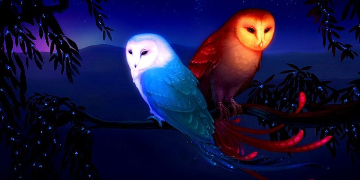 1280x960 Fantasy Owls - Owls Wallpaper (40623460) - Fanpop