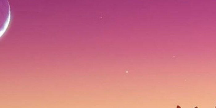 720x1280 720x1280 Child Dog Pink Sky Lake Galaxy s3 wallpaper