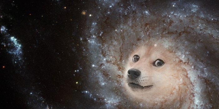 1280x960 Dog Galaxy Wallpapers - Top Free Dog Galaxy Backgrounds