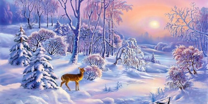 1920x1200 65+ Deer in Winter Snow Wallpapers - Download at WallpaperBro