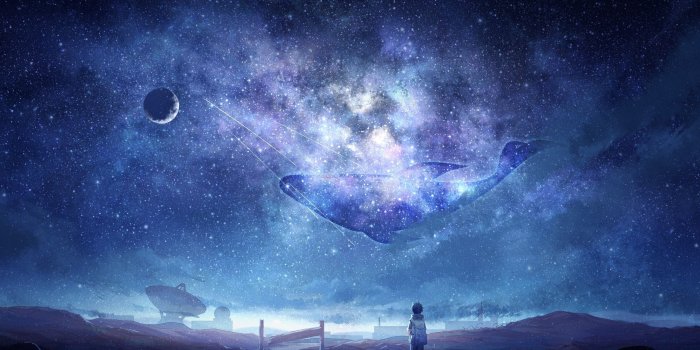 2560x1600 Download 2560x1600 Anime Sky, Milky Way, Stars, Anime Boy, Dog, Moon