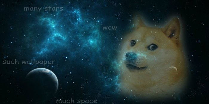 1920x1080 78+ Doge Space Wallpapers on WallpaperPlay