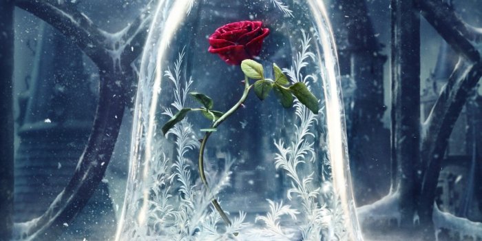 1280x720 Wallpaper Beauty and the Beast, 2017 Movies, Disney, Rose, Movies, #1261