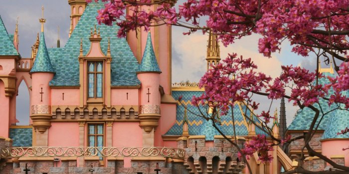 2560x1600 70+ Disneyland Castle Wallpapers on WallpaperPlay