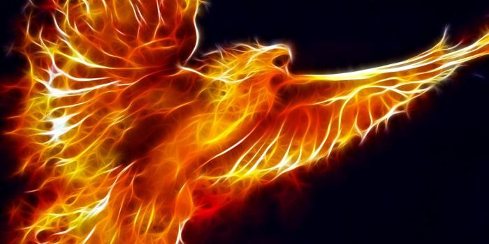 1600x1000 Cool Kindle Fire Wallpaper WallpaperSafari | 1 Happy Life