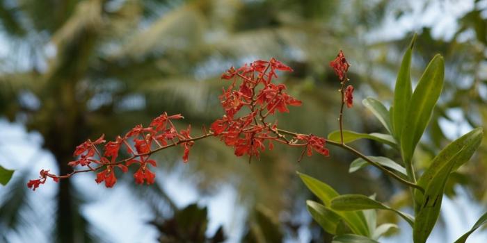 1440x900 50+] Cool Kindle Fire Wallpaper Fan on WallpaperSafari