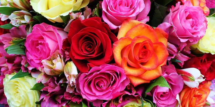 2100x1312 Colorful Roses HD Wallpaper | Background Image | 2100x1312 | ID