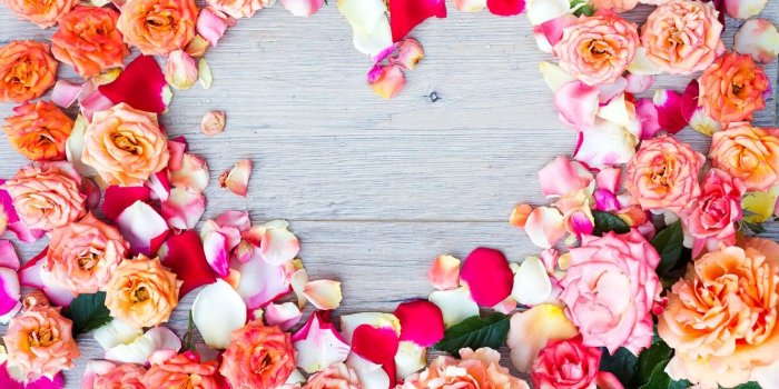 1332x850 Wallpaper flowers, heart, roses, colorful, heart, pink, flowers