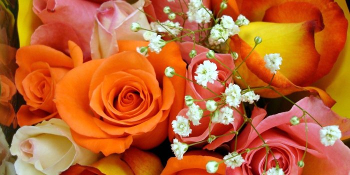 1920x1200 Colorful Rose Bouquet | HD Flowers Wallpapers for Mobile and Desktop