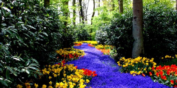 1339x819 Spring Desktop Wallpaper | Joss Wallpapers