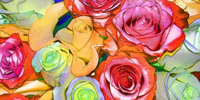 1920x1440 Background,wallpaper,flower,flowers,flora - free photo from needpix.com