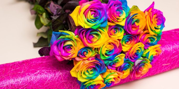 1332x850 Wallpaper bright, roses, bouquet, colorful, roses, multicolor images