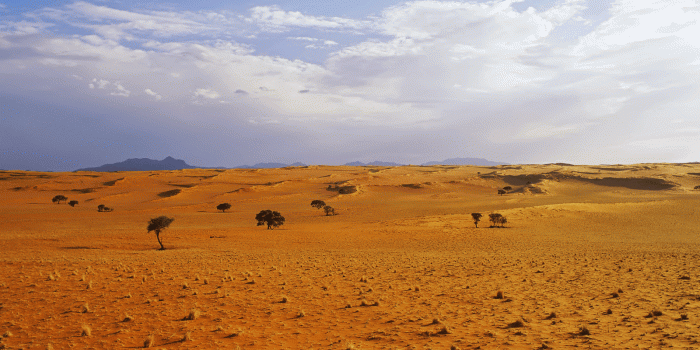 1600x1200 HD American Dessert Landscape Awesome Hd Desktop Wallpapers For