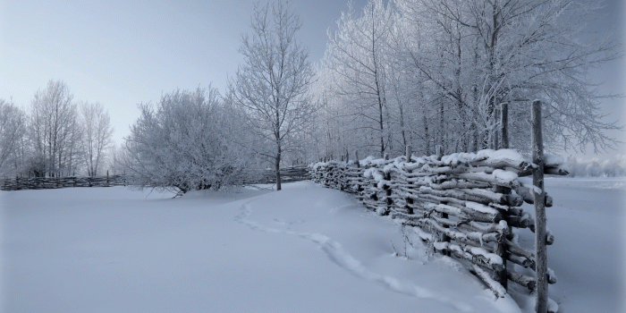 1600x900 65+ Country Winter Wallpapers - Download at WallpaperBro