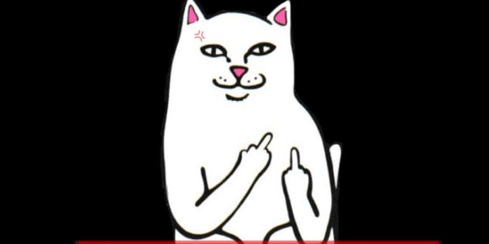 1635x2895 freetoedit #lockscreen #supreme #ripndip #cat #iphonelockscreen