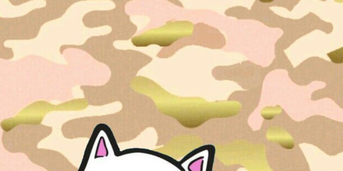 1027x1792 65+ Dope Cat Wallpapers - Download at WallpaperBro