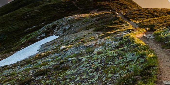 800x1280 15 Helpful Tips and Tricks For Your Amazon Fire Tablet | Digital Trends