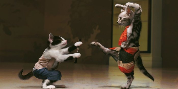 1920x1080 Crazy Weird Wallpapers (58+ images)