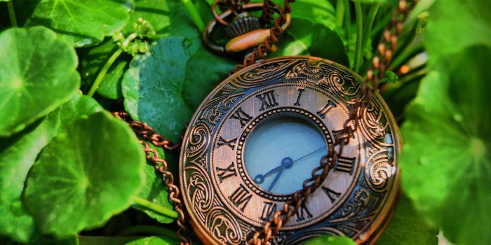 1440x900 Download desktop wallpaper Old clock on the leaves