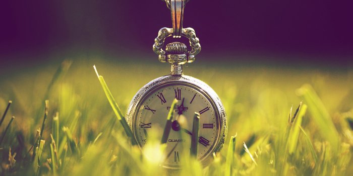 2560x1600 Download 2560x1600 Wallpaper Old Clock In Grass, Dual Wide