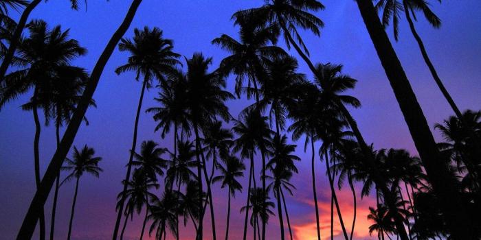 1280x1024 Really Pretty Backgrounds