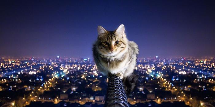 1366x768 Amazing Wallpapers | Extreme HD Quality (27+) Wallpapers