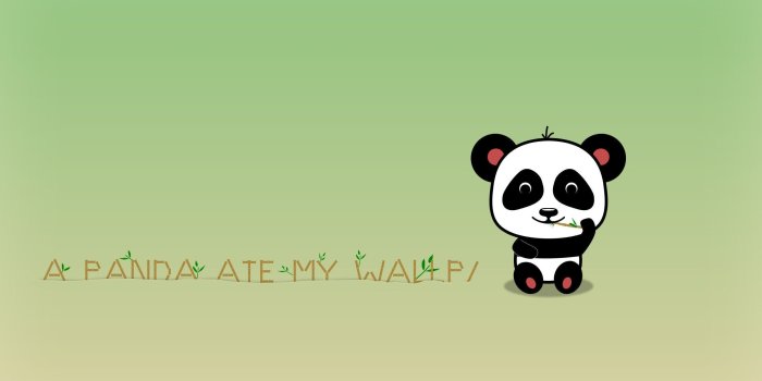 2560x1440 Panda Anime Wallpaper Hd - Funny Panda Wallpaper Hd (#68184) - HD