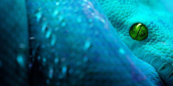 1920x1200 Extreme Close Up Shot Photography Hd Desktop Wallpapers Bmw X5 Live