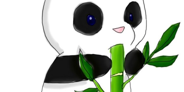 801x1117 Panda Chibi Wallpaper | Wallpapers Gallery