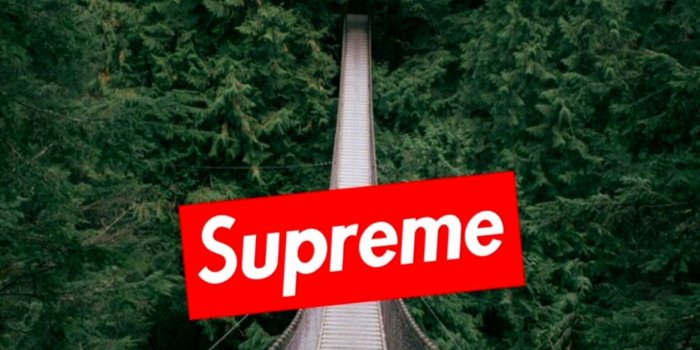 1231x803 Stussy Wallpaper | Eazy Wallpapers