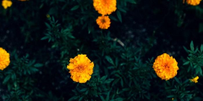 920x1425 Really Pretty Backgrounds | Wallpapers Ultra