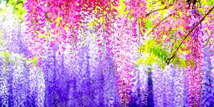 1920x1080 70+ Really Colorful Wallpapers - Download at WallpaperBro