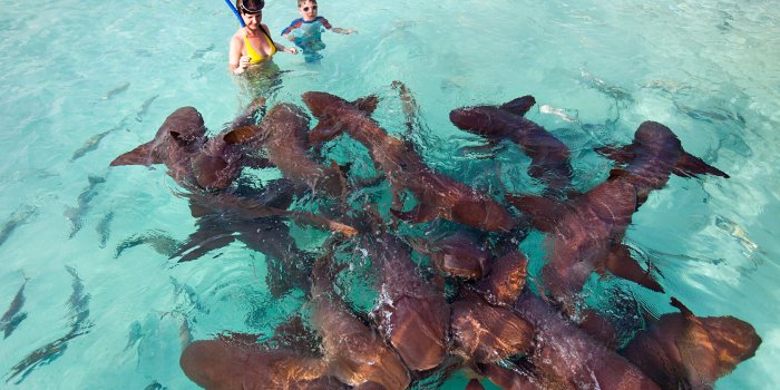 1680x1050 Out Islands Photo Gallery - The Out Islands of the Bahamas