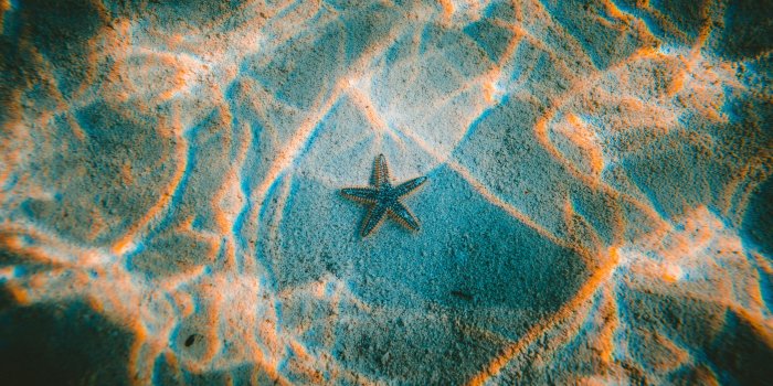 5589x3840 5259074 5589x3840 #water, #tumblr, #islands, #hawaii, #starfish