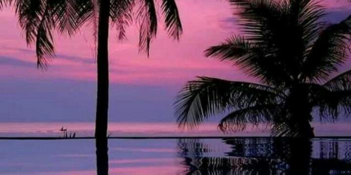 719x1280 This probably looked REALLY pretty in real life too! | Sunset/Beach