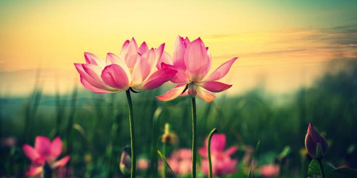 2880x1800 Really Pretty Wallpapers PC #524HZ6V | Wallperio.com™