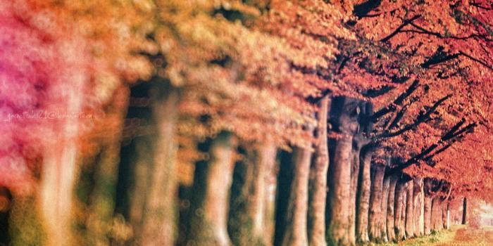 1032x774 Free download Really Pretty Wallpapers [1032x774] for your Desktop