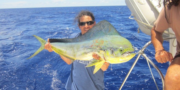 1600x1200 fishing and diving guide to the bahamas – Dinghy Dreams