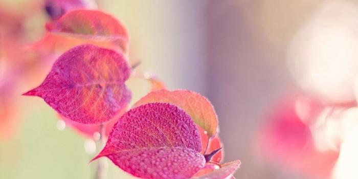 1080x1920 Really Pretty Wallpapers For Iphone 69 Images Wallpaper Phone Cute