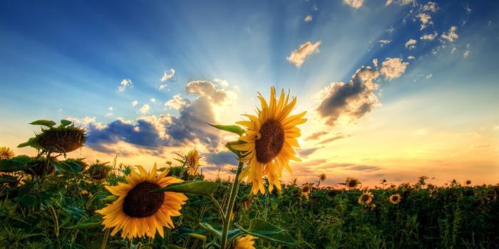 1920x1110 really pretty wallpapers - Page 2 of 3 - wallpaper21.com