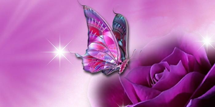 1440x900 Pretty Live Wallpapers Group (33+), Download for free