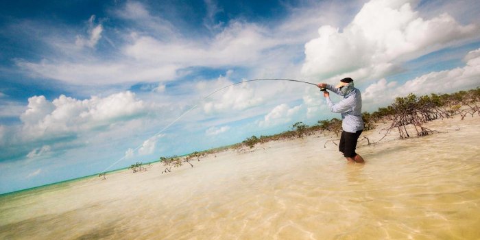 1500x916 If you thought you couldn't go to the Bahamas, think again! | Fly