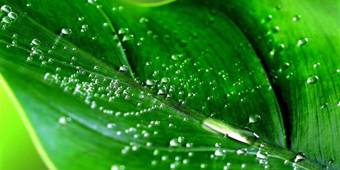 1920x1080 Free HD Wallpaper High Resolution Download High Definiton Wallpapers