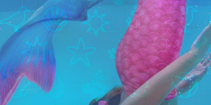 1080x1920 Downloadable Summer Phone Wallpapers | FinFriends