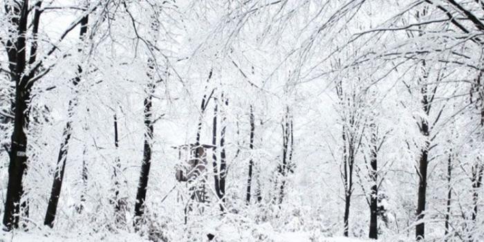 750x1334 25 Winter iPhone Wallpapers